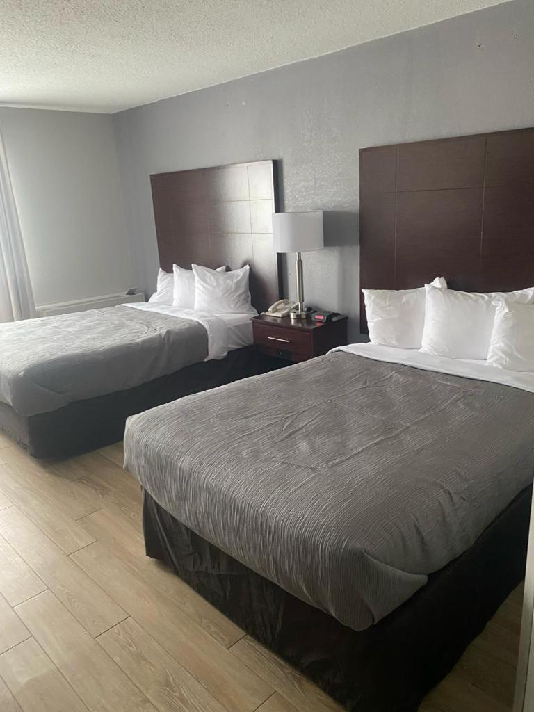 Quality Inn Colchester - Берлінгтон Екстер'єр фото