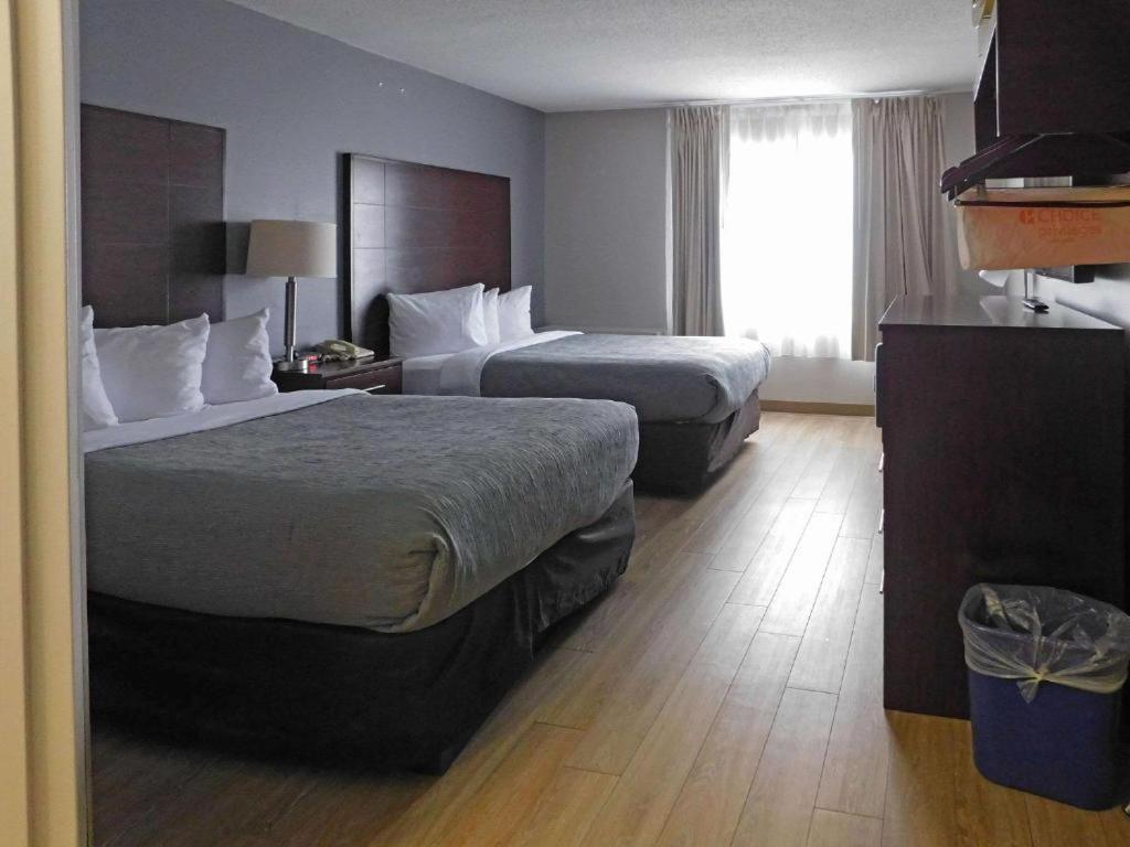 Quality Inn Colchester - Берлінгтон Екстер'єр фото